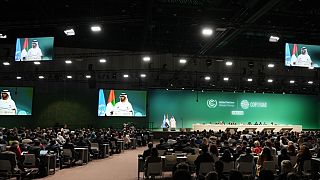 COP28 opens in oil-rich UAE, one of the many contradictions of the climate talks